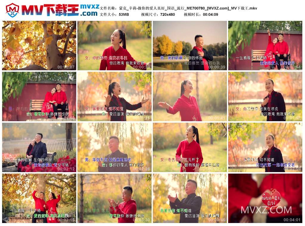 蒙克_辛莉-做你的爱人真好_国语_流行_ME700780